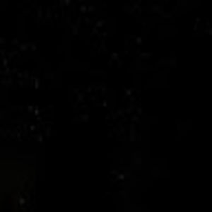 Meet your Posher, Sadie